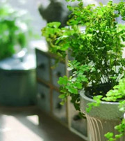 常州专属于你的开运指南，助你鸿运当头福满身！